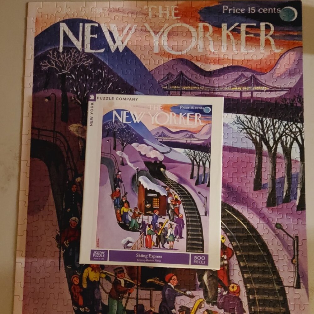 New York Puzzle Company Skiing Express